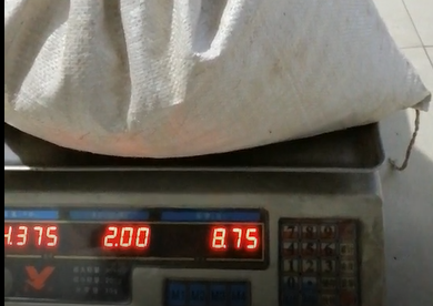 云飛殺蟲燈一天殺蟲量將近9斤，客戶都驚呆了